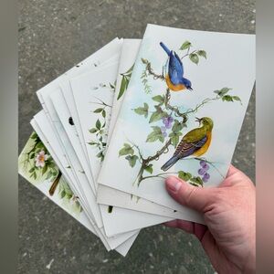 Winged Beauties BIRDS Exquisite Watercolors Vintage Sunshine Greeting Cards